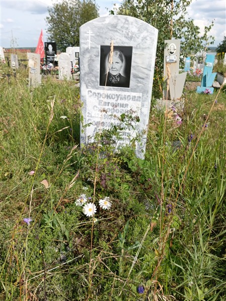 Сорокоумова Анастасия Сидоровна