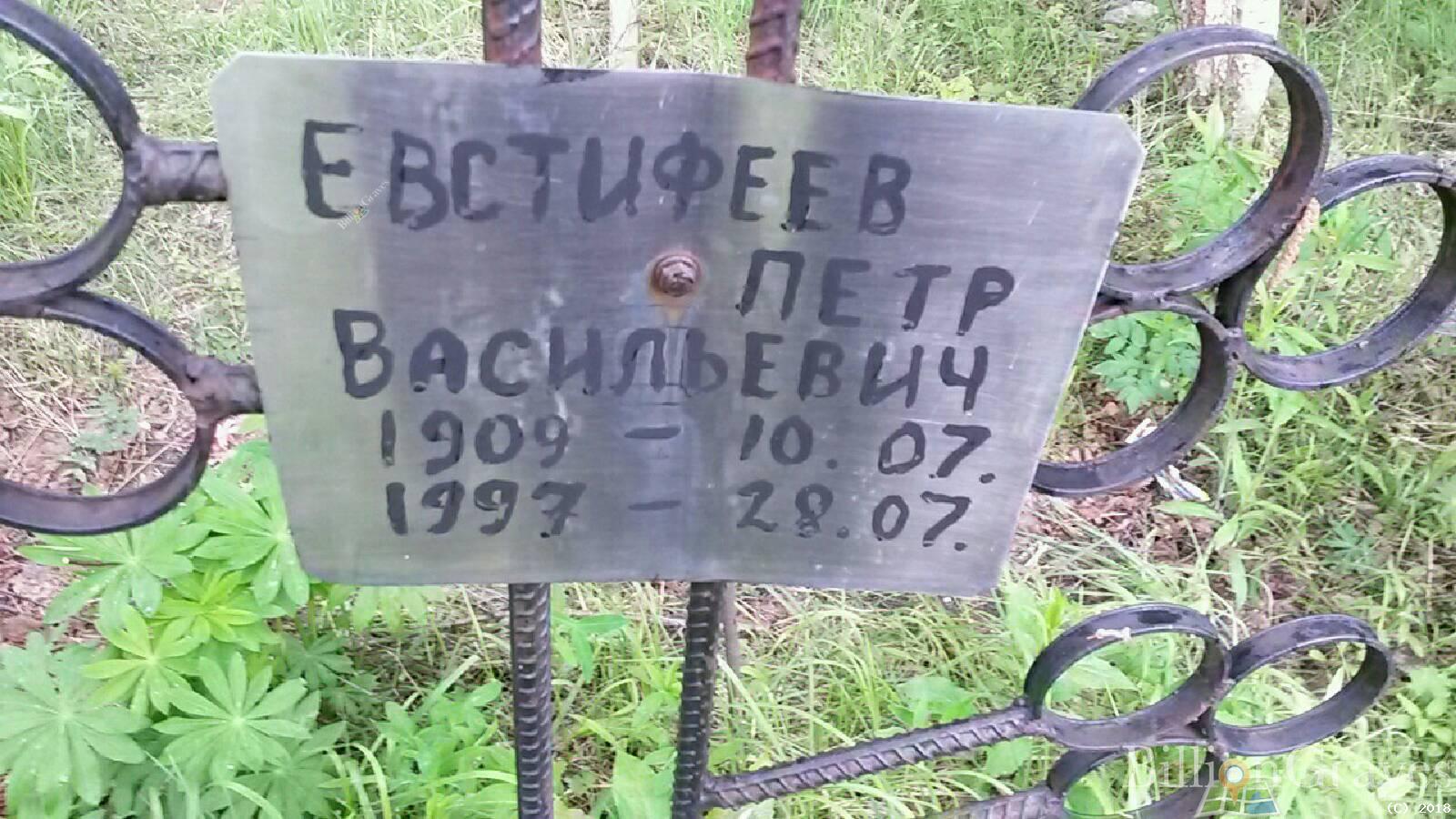 евстифеев петр васильевич