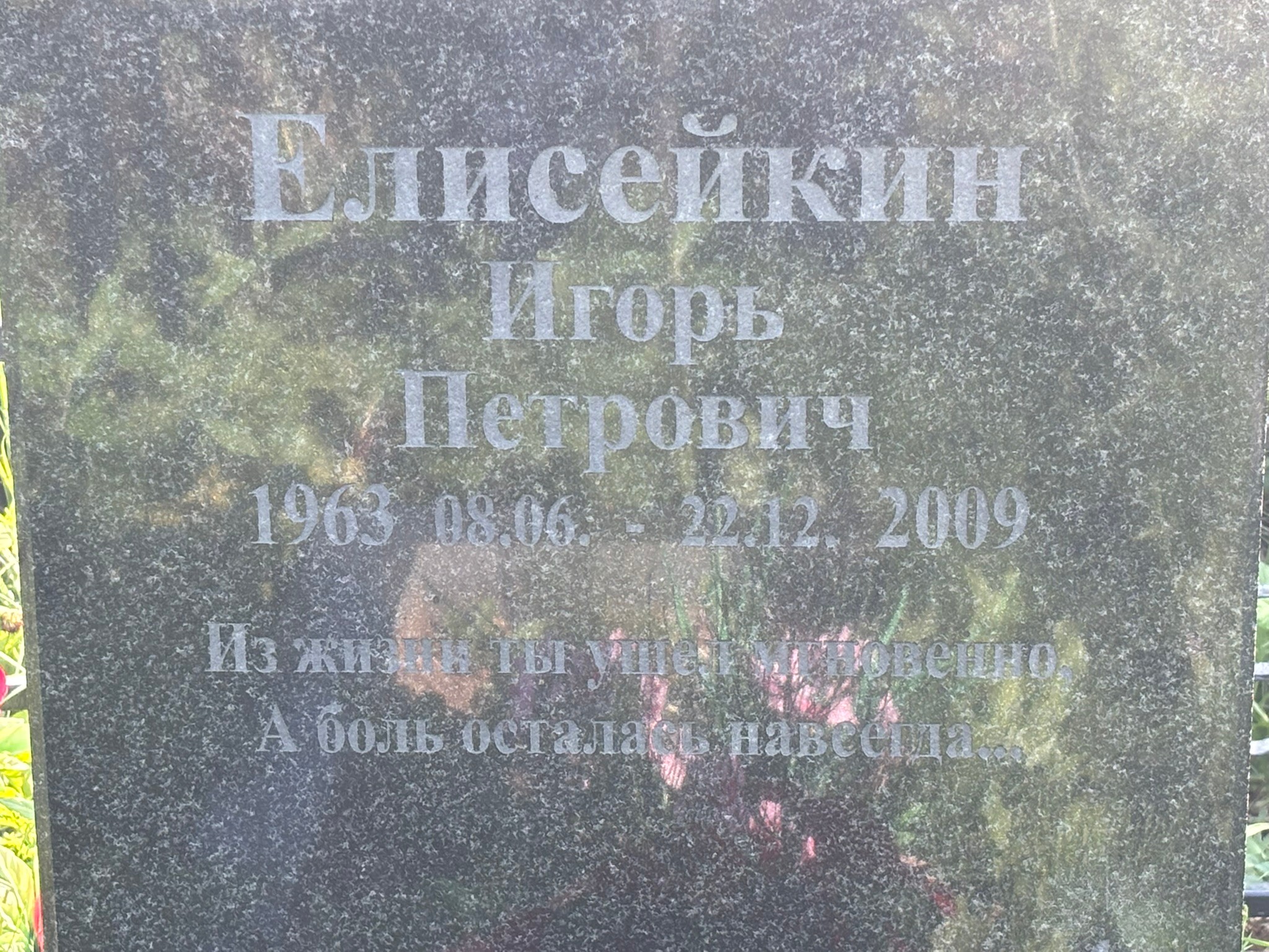 Елисейкин