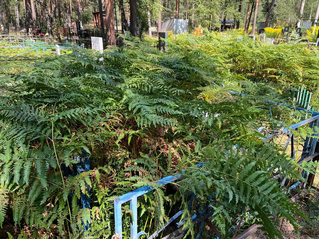 Раскатов Александр Федорович