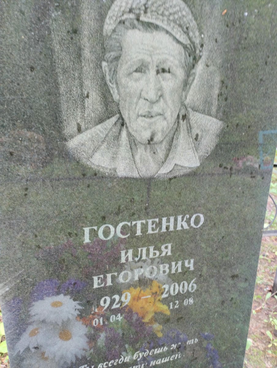 Гостенко Илья Егорович