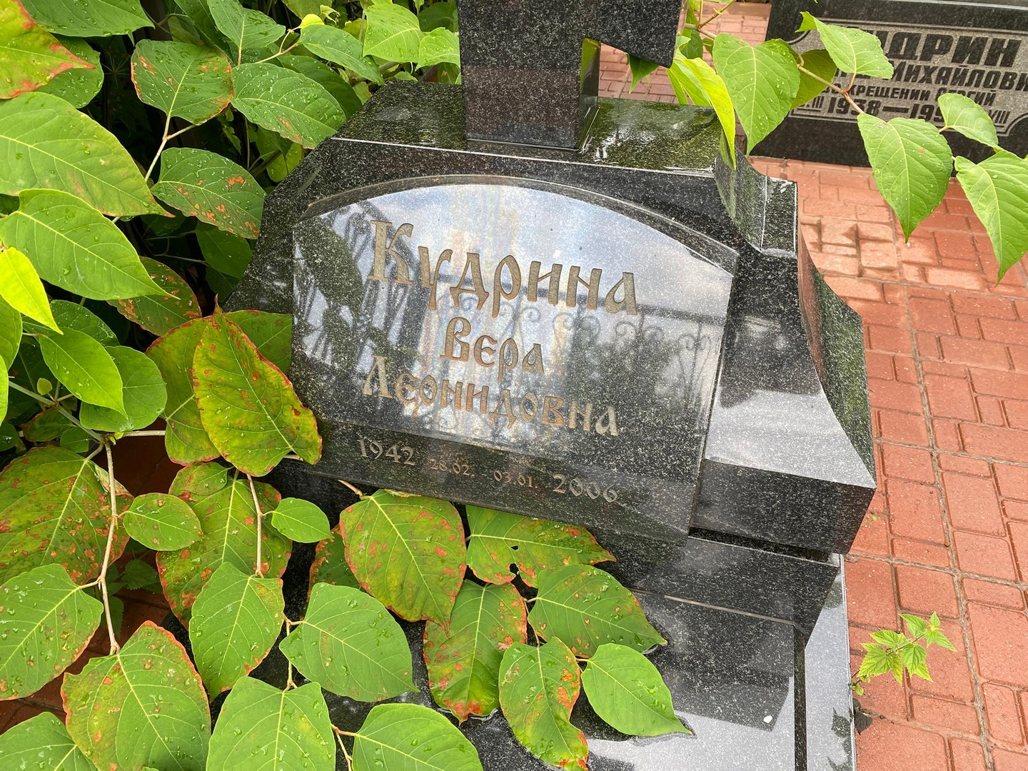 Кудрина