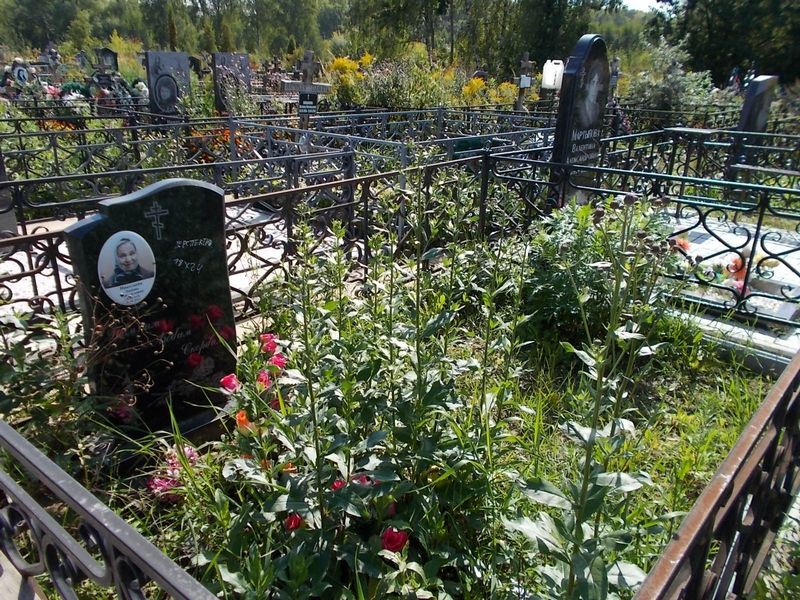 Николаева Любовь Михайловна
