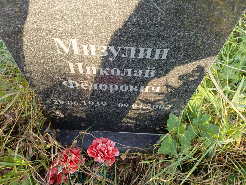 Мизулин