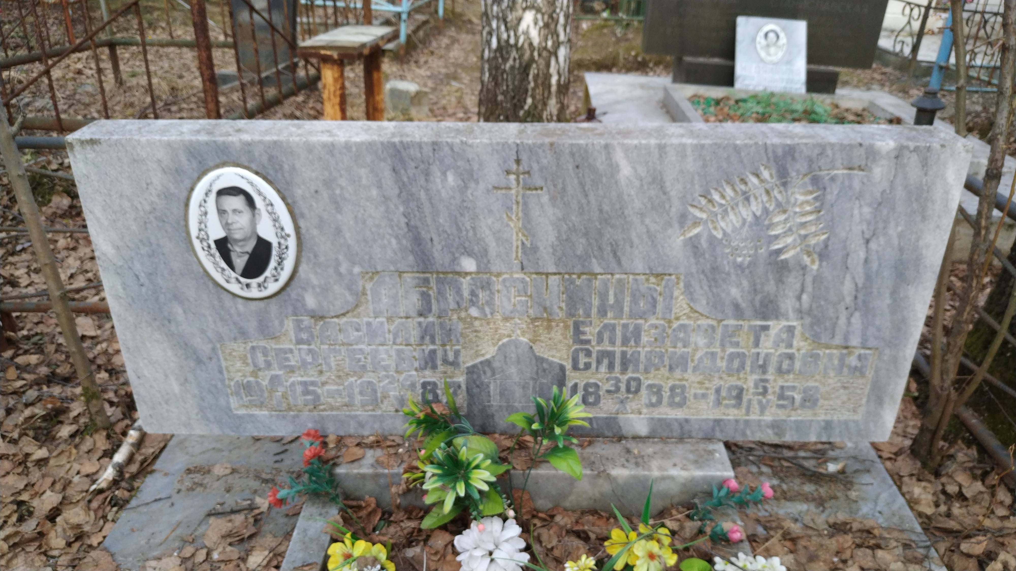 Аброснин Василий Сергеевич