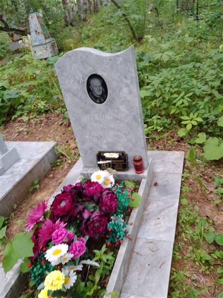 Шубников Михаил Владимирович