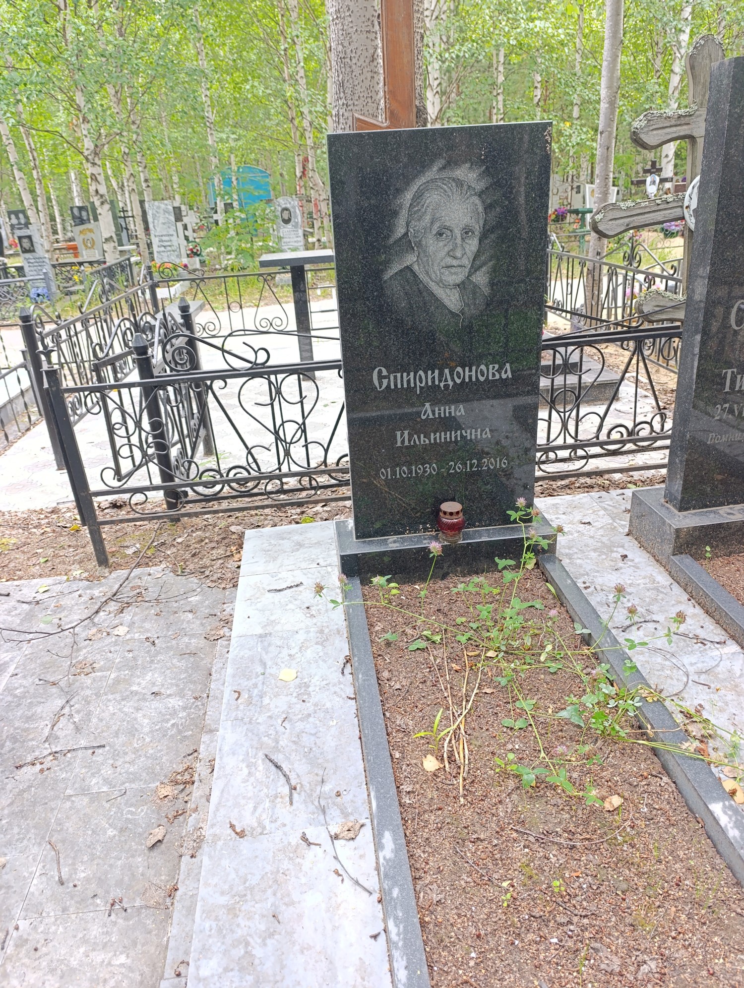 Спиридонова Анна Ильинична