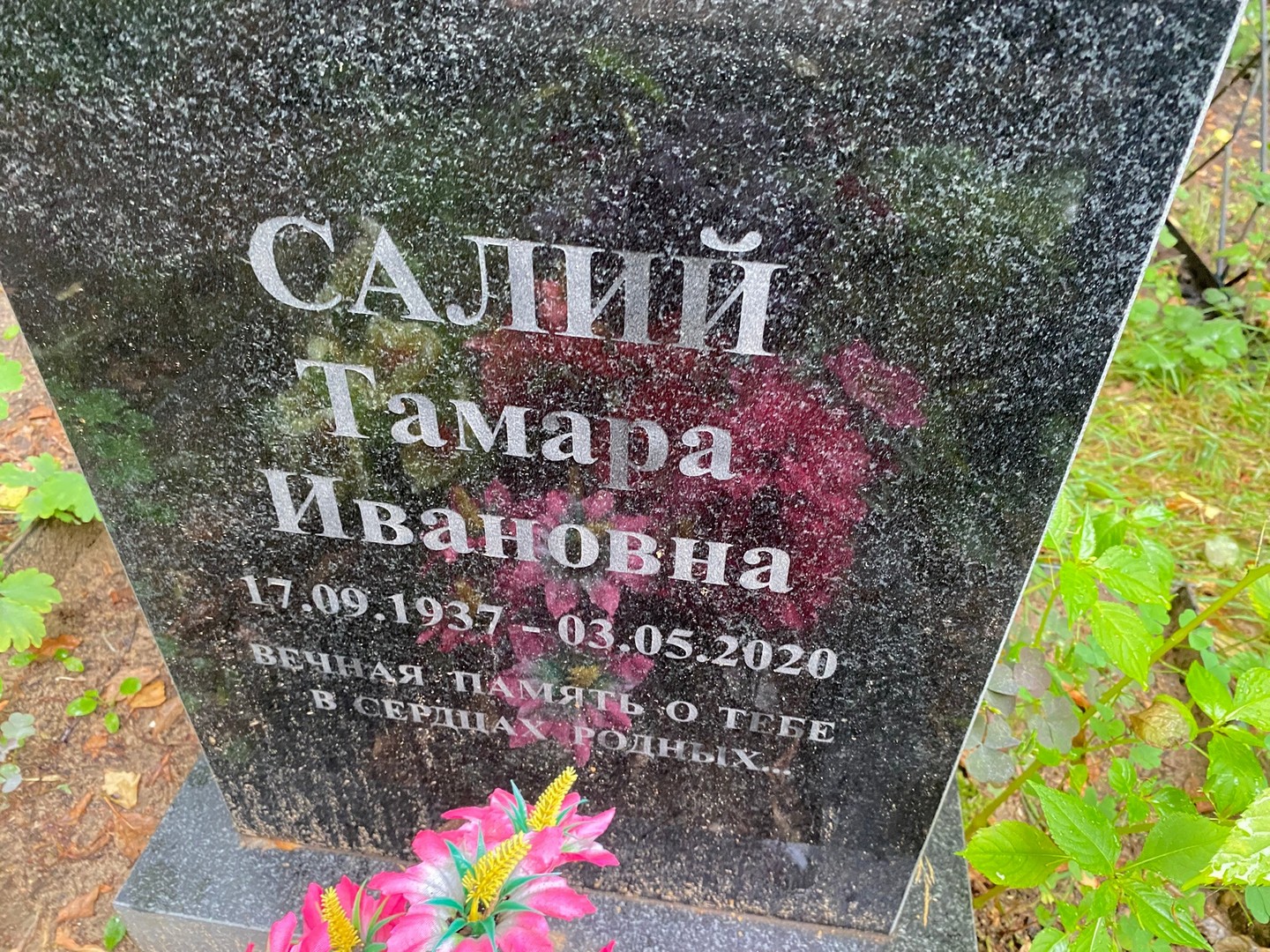 Салий