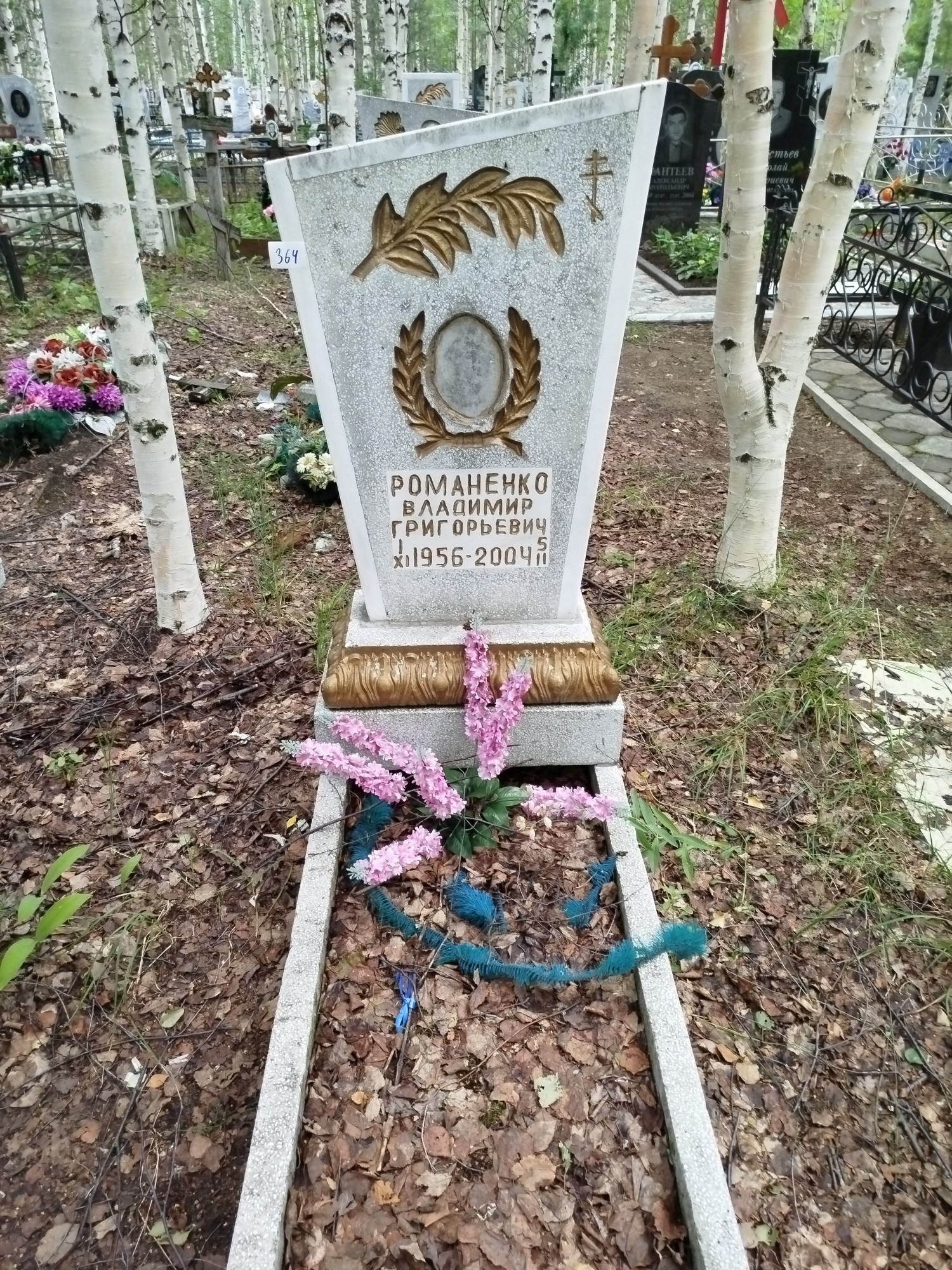 Романенко Владимир Григорьевич