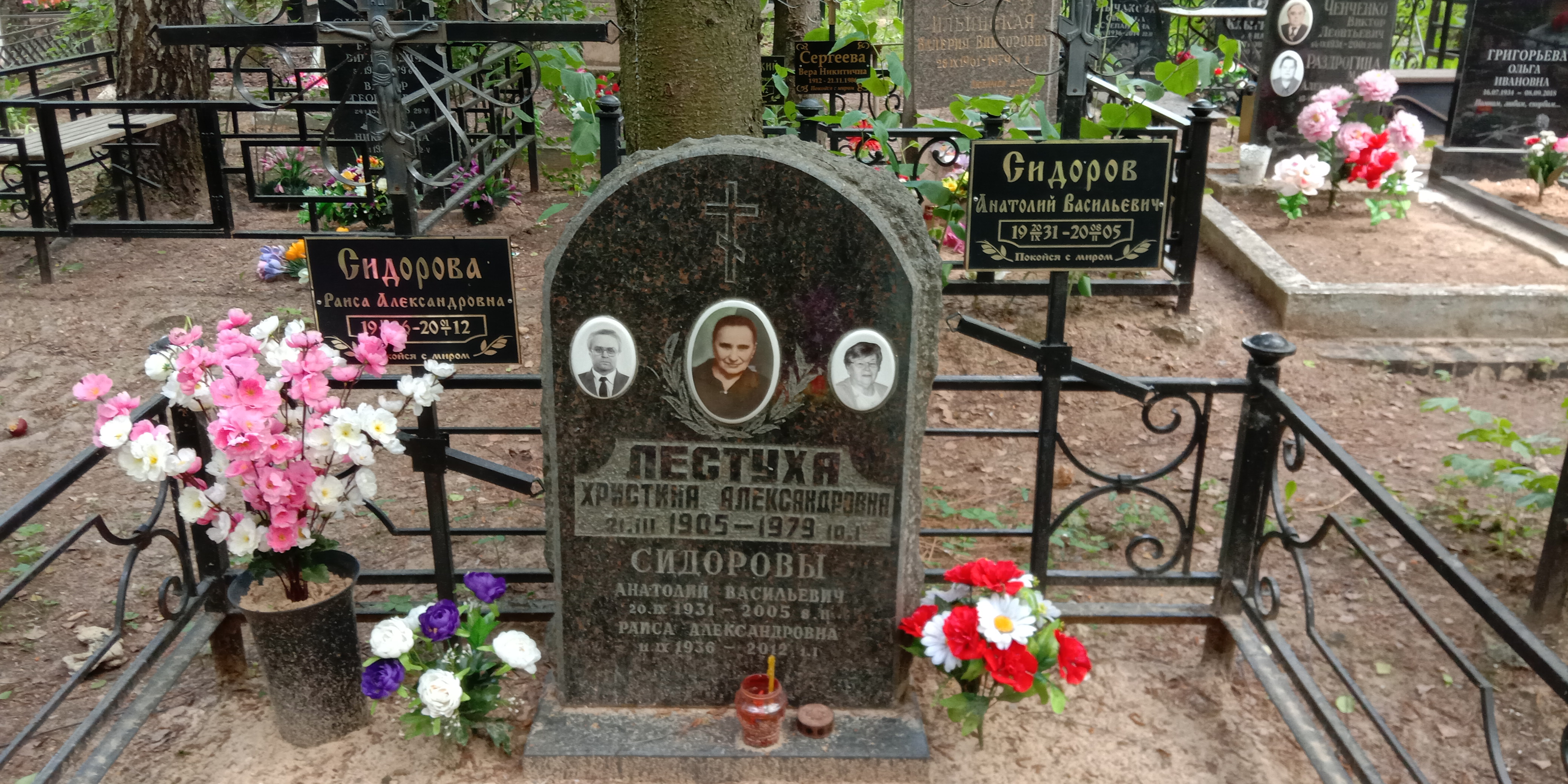 Лестуха Христина Александровна