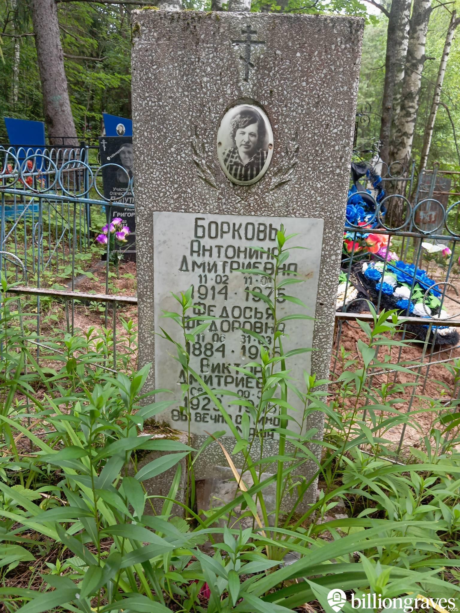 Борков Виктор Дмитриевич
