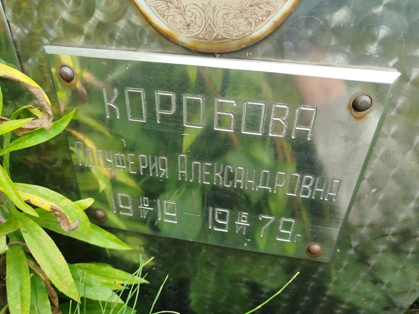 Полуферия Коробова Александровна