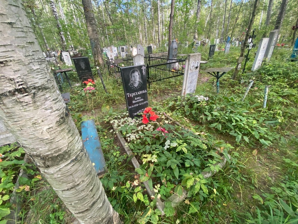 Тереханова Анна Ивановна