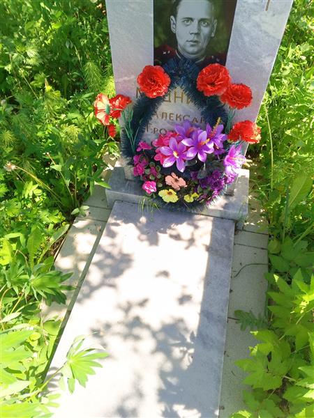 Медников Александр Трофимович