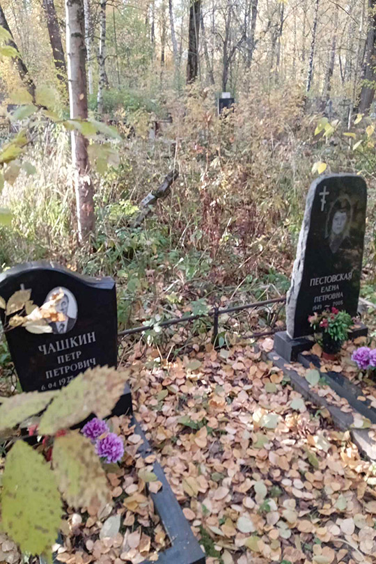 Пестовская Елена Петровна