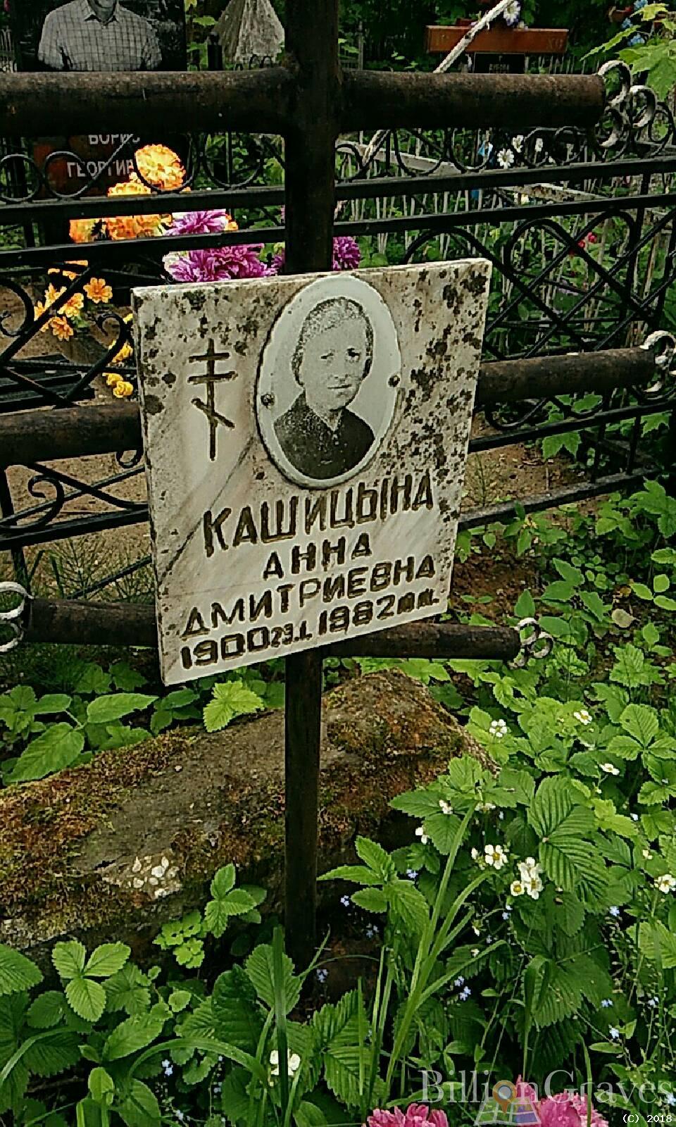 кашицына анна дмитриевна