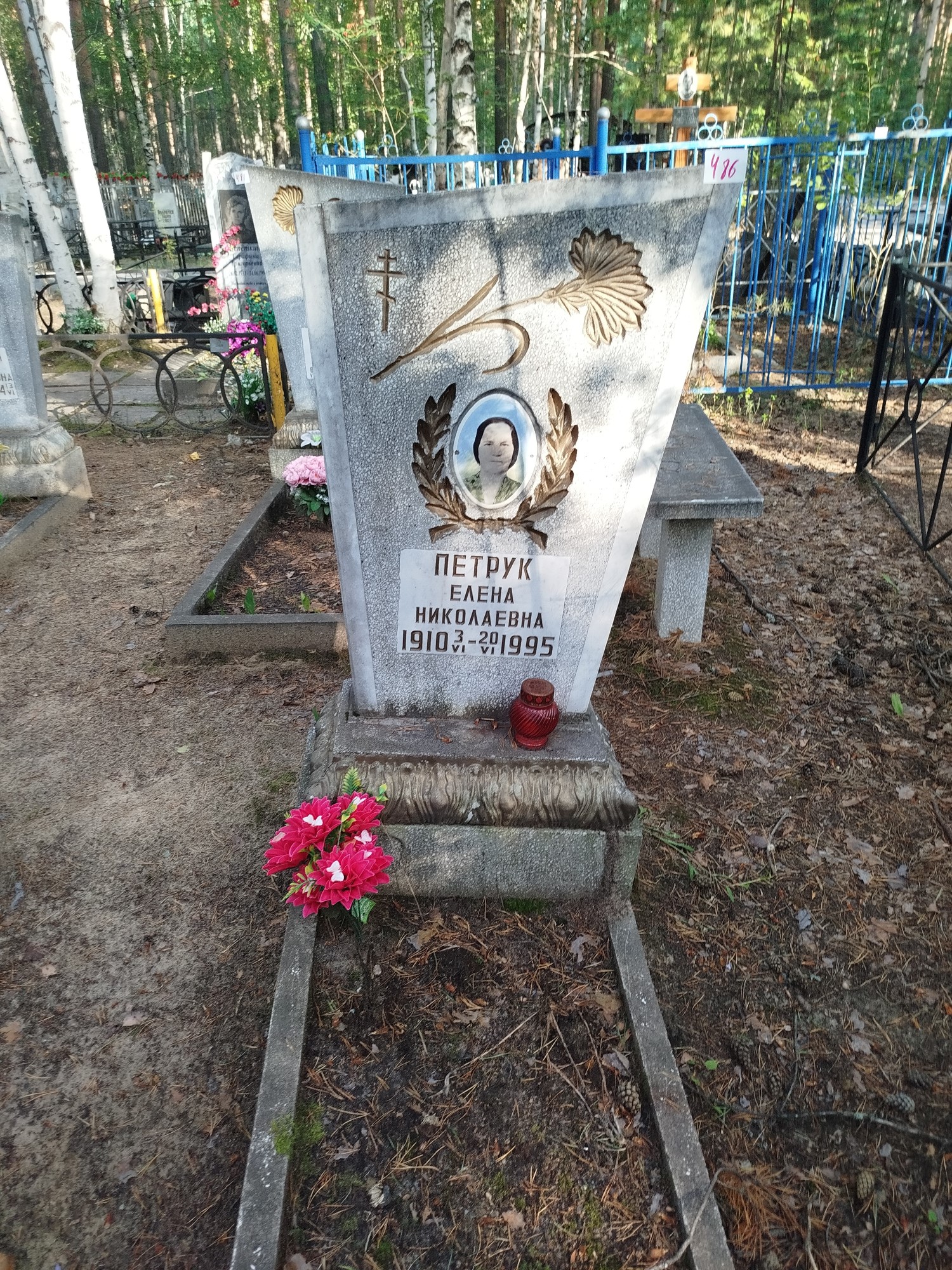 Петрук Елена Николаевна
