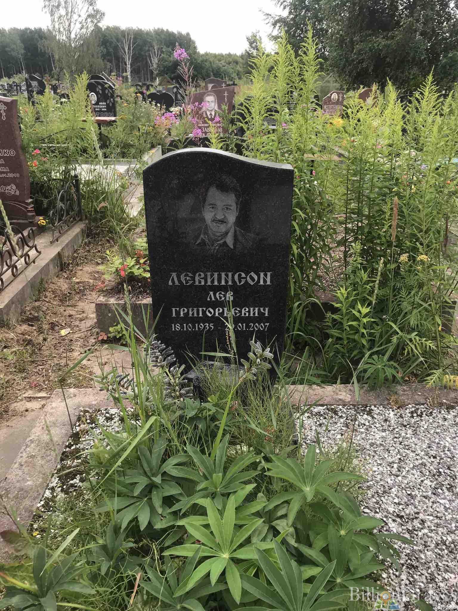 Левинсон Лев Григорьевич