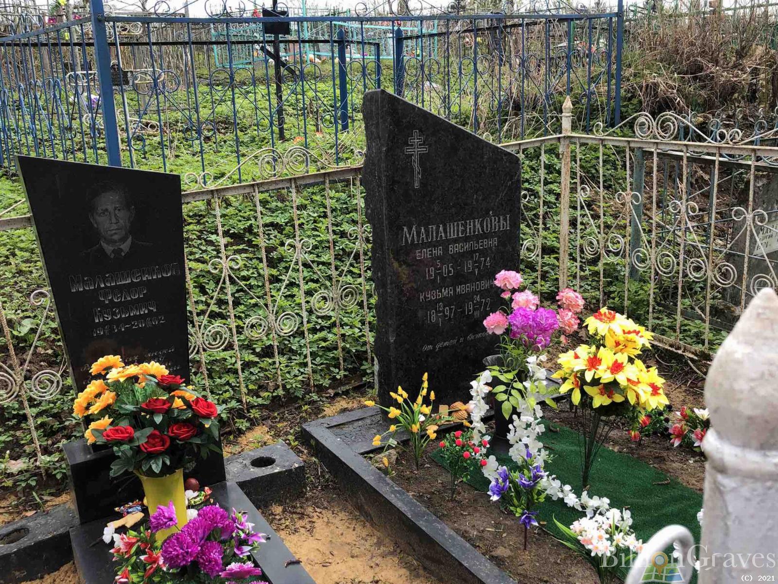 Малашенкова Елена Васильевна