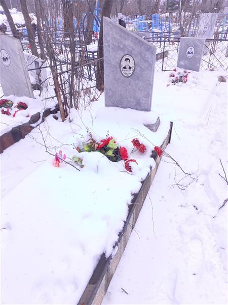 Макаров В. Я.
