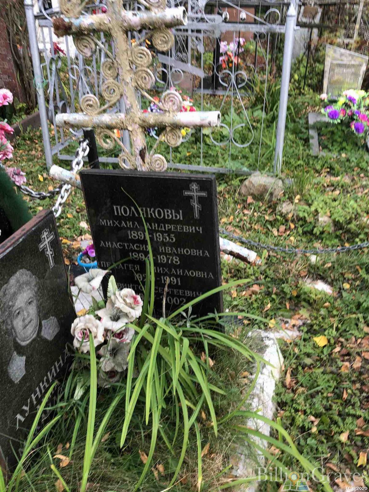 Лункина Анна Михайловна