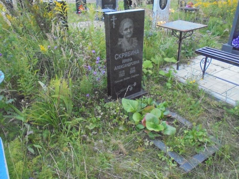 Скрябина Ирина Александровна