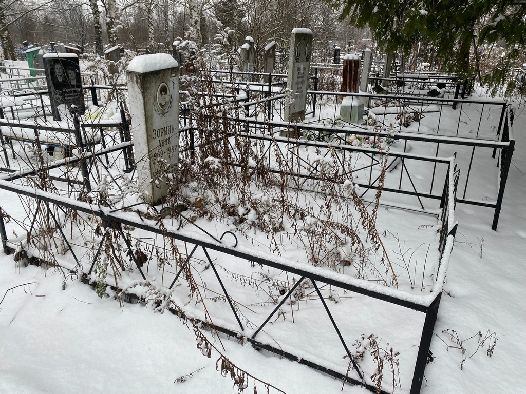 Зорина Елена