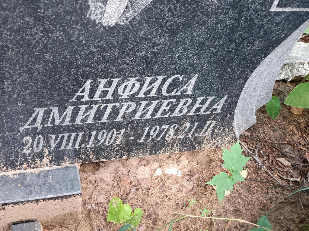Флегонтова Анфиса Дмитриевна