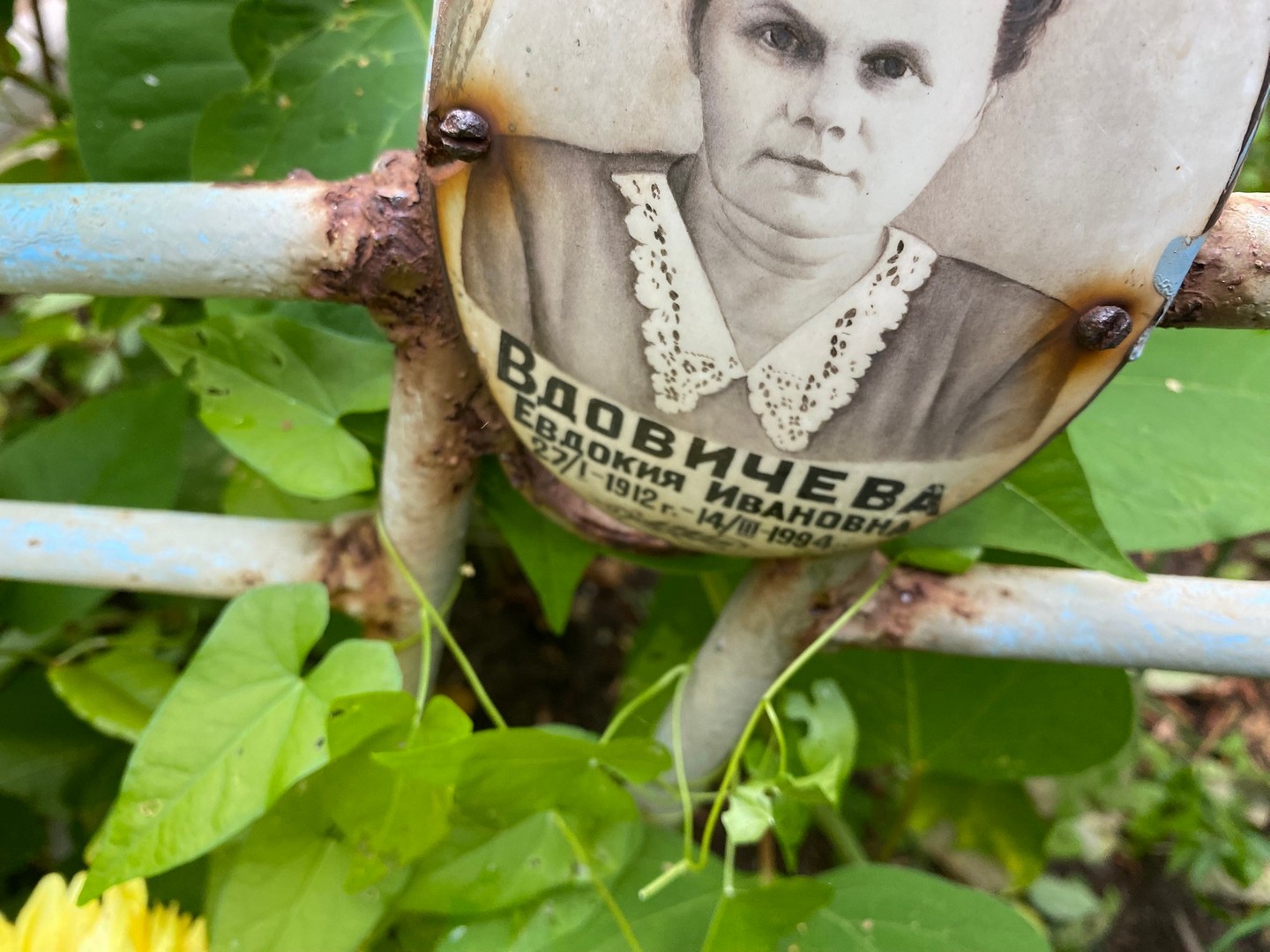 Вдовичева