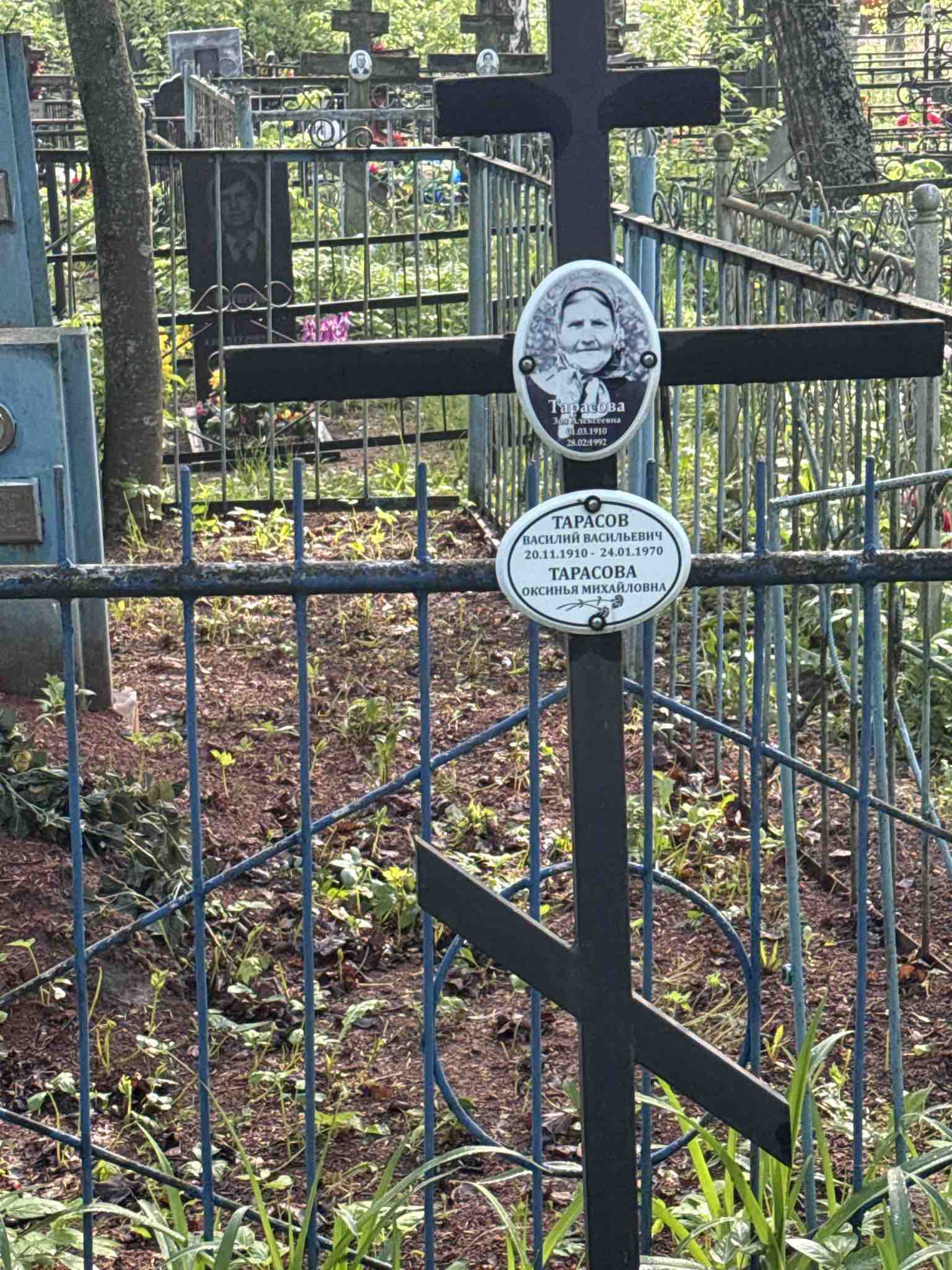 Тарасов Василий Васильевич