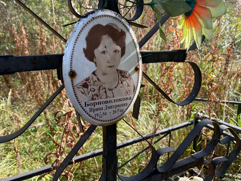 Борноволокова