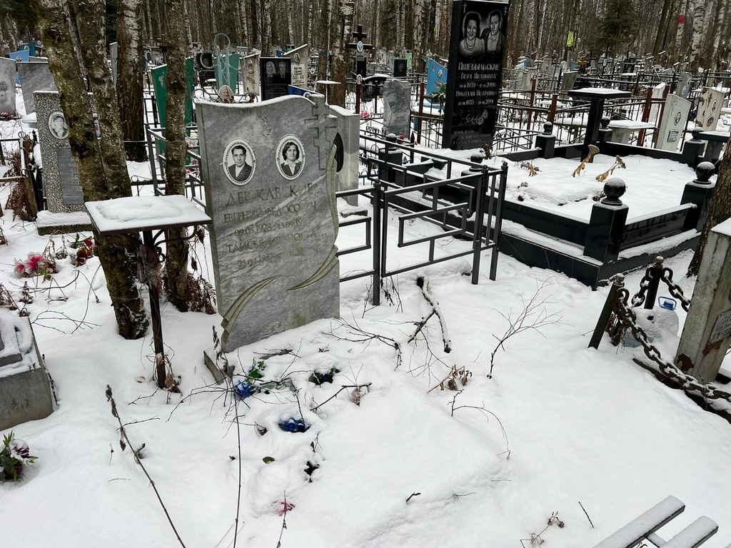 Державский Евгений Федорович