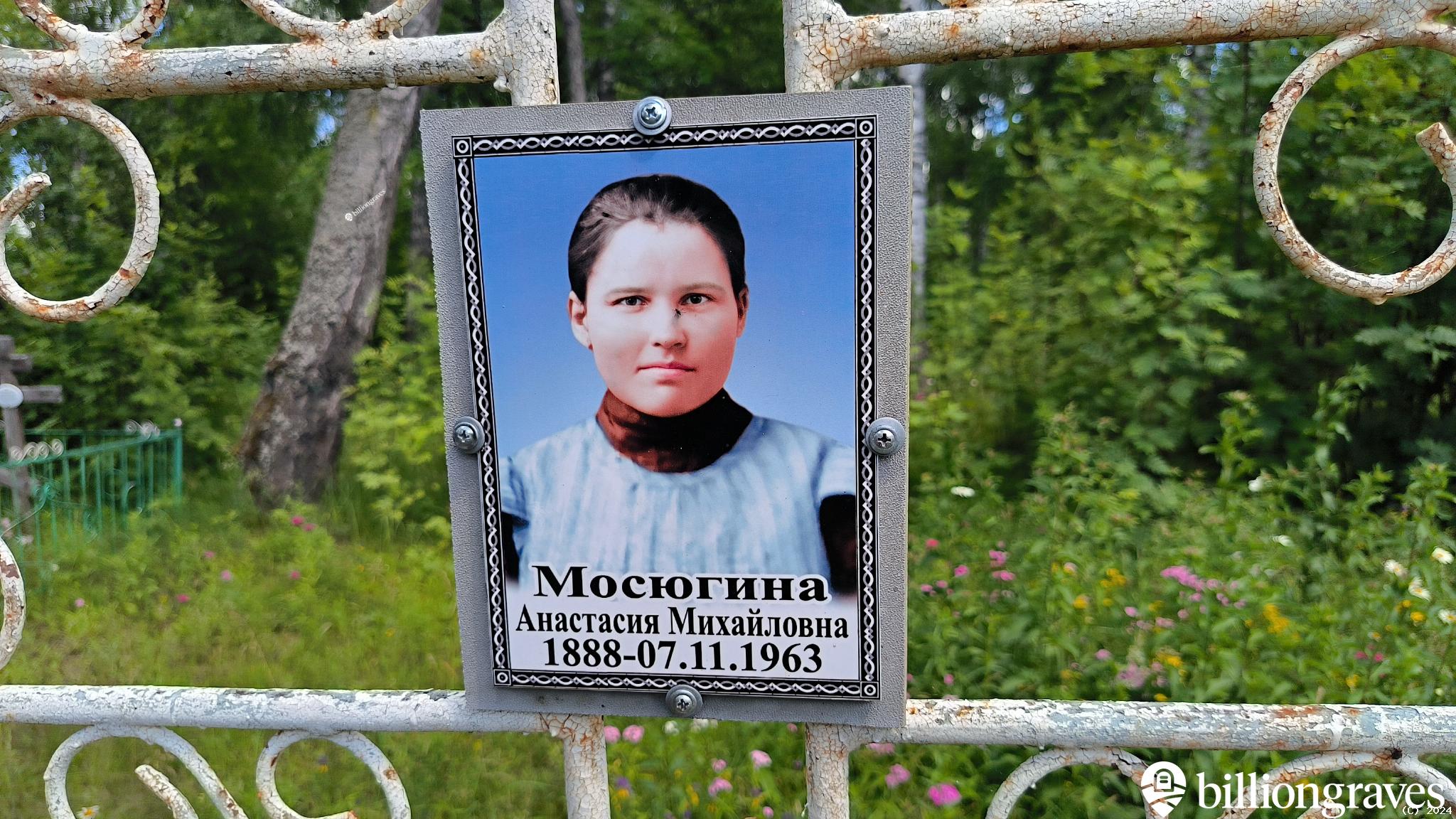Мосюгина Анастасия Михайловна
