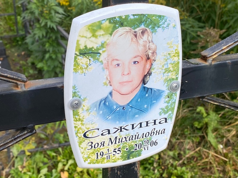 Сажина