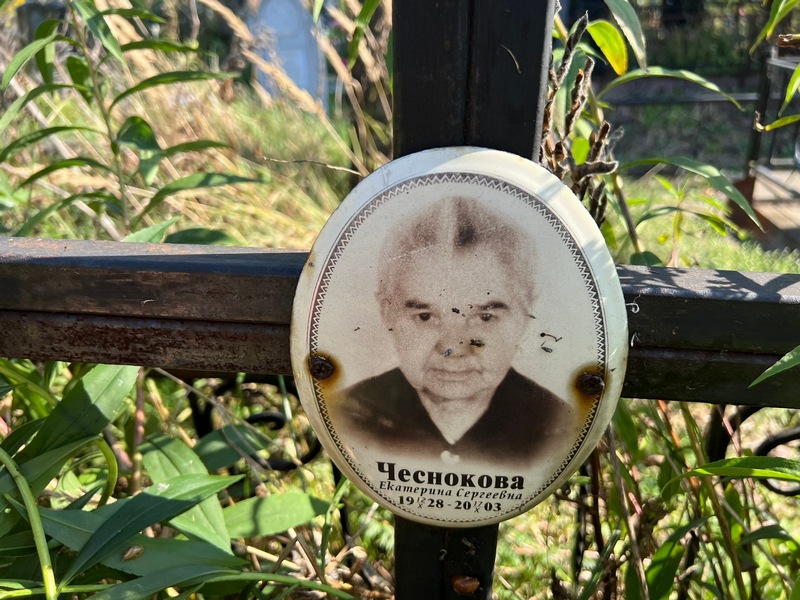Чеснокова