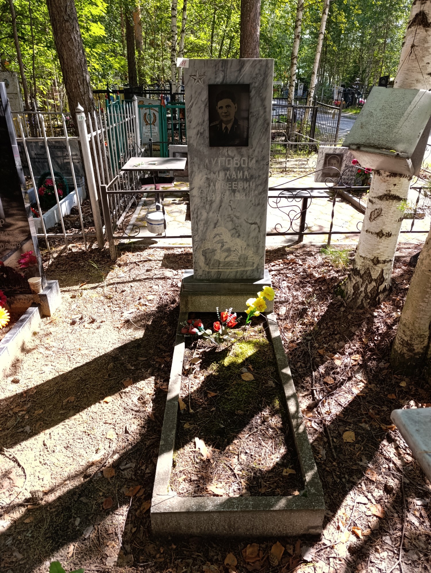 Луговой Михаил Елисеевич