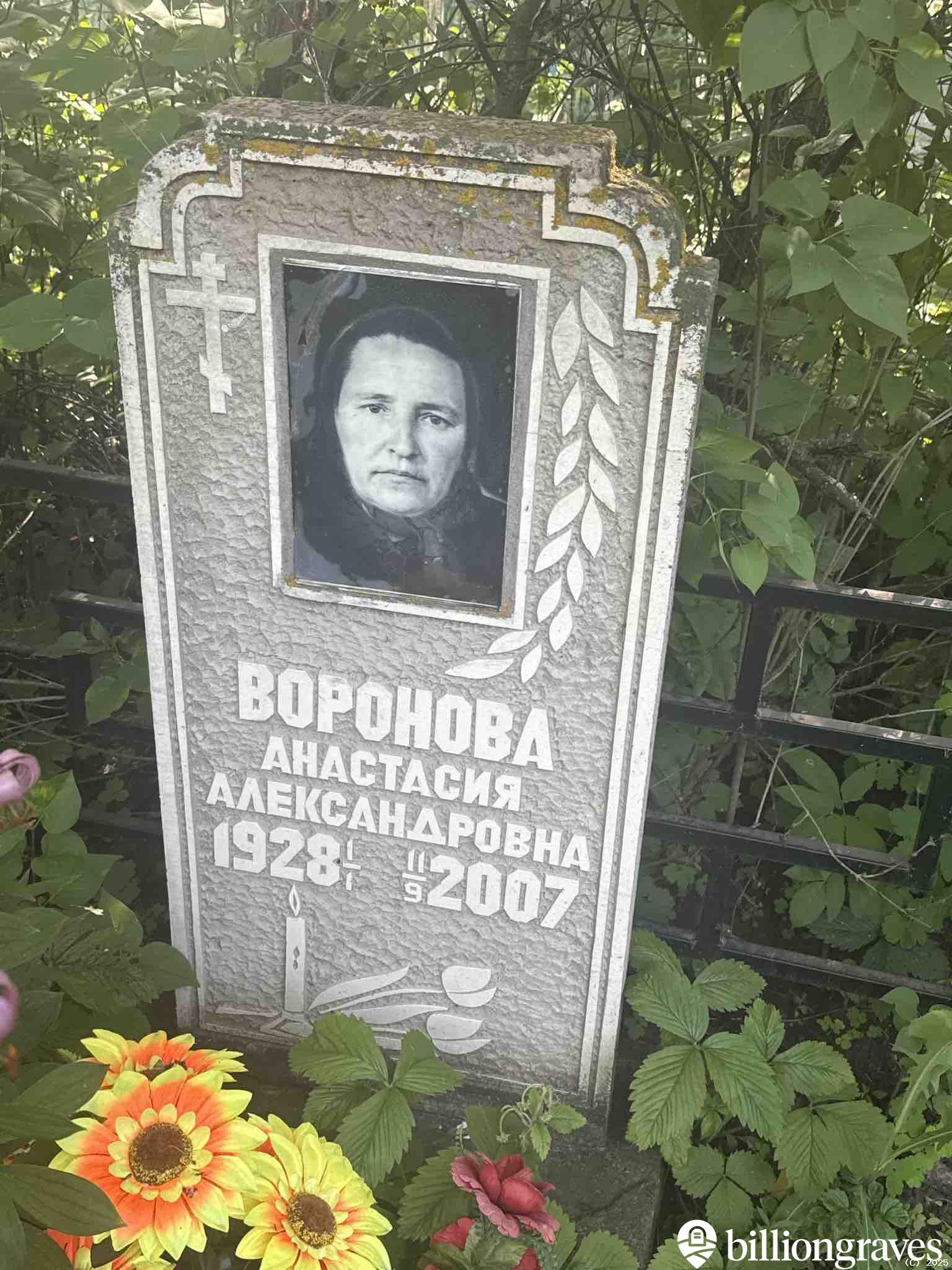 Воронова Анастасия Александровна