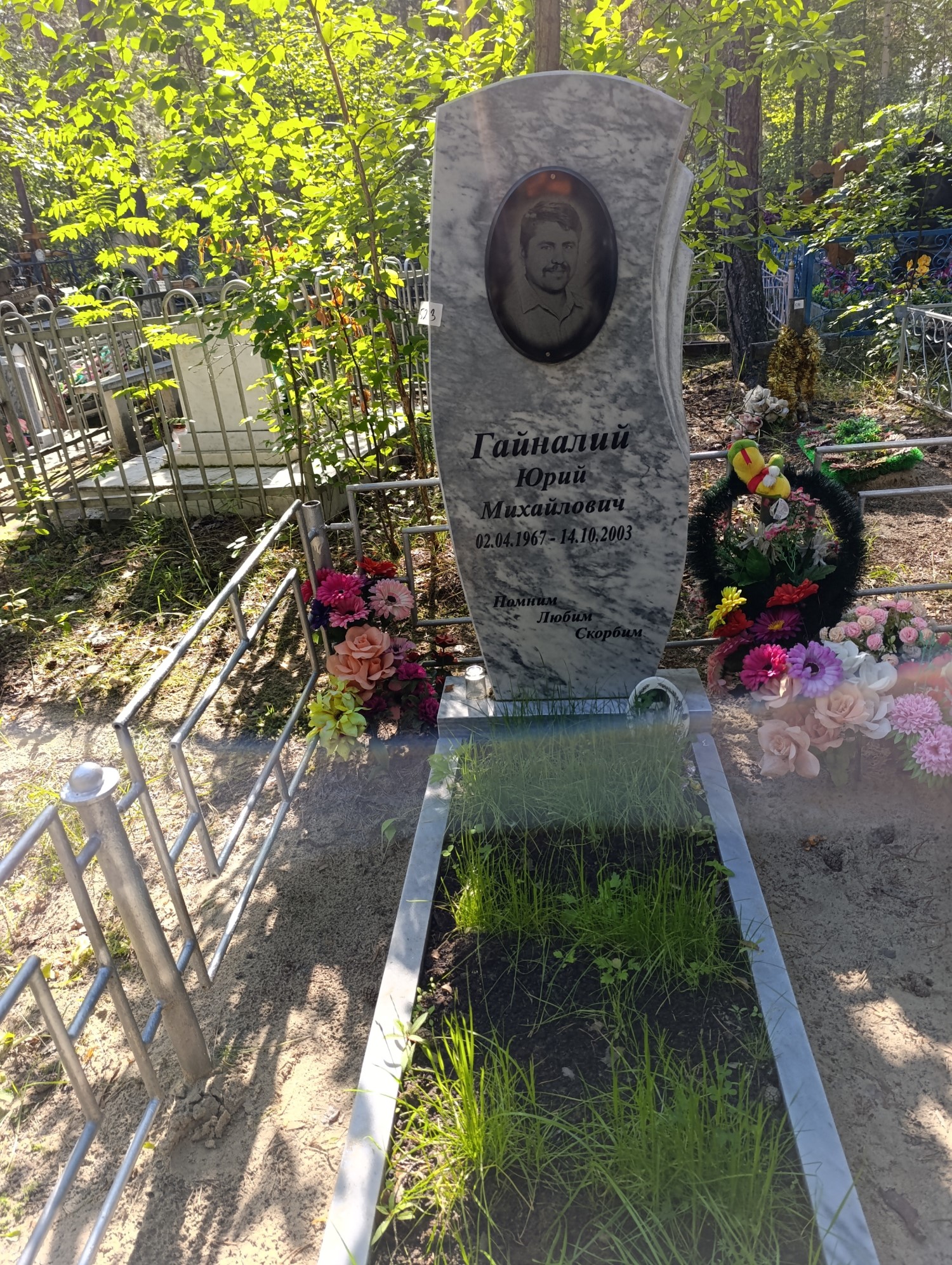 Гайналий Юрий Михайлович
