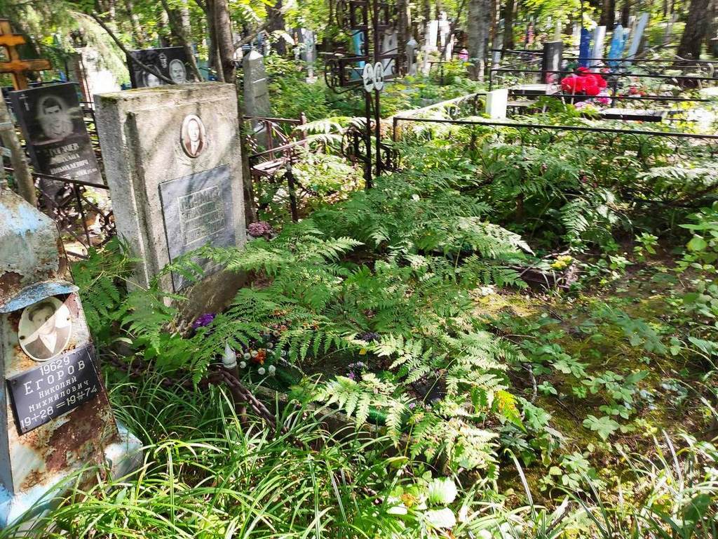 Наумов Николай Павлович