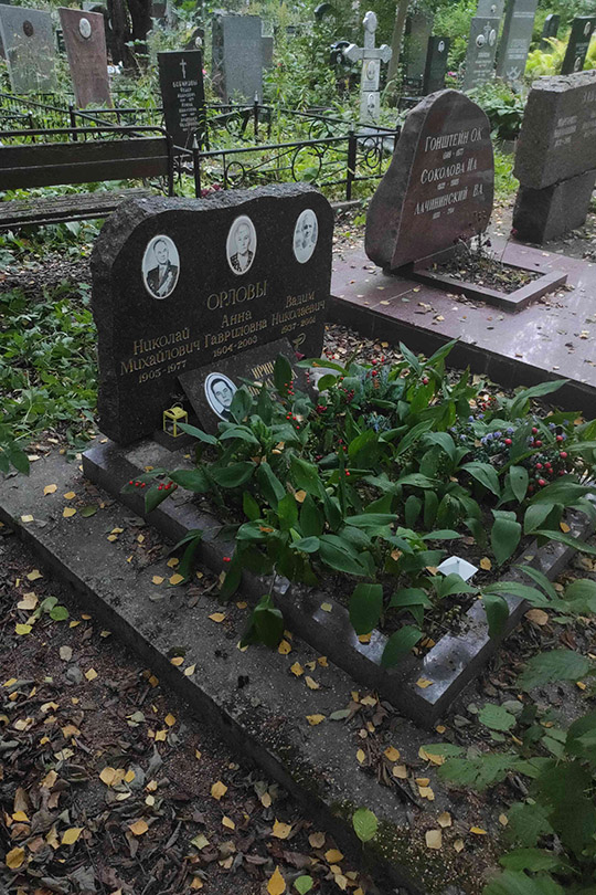 Орлов Вадим Николаевич