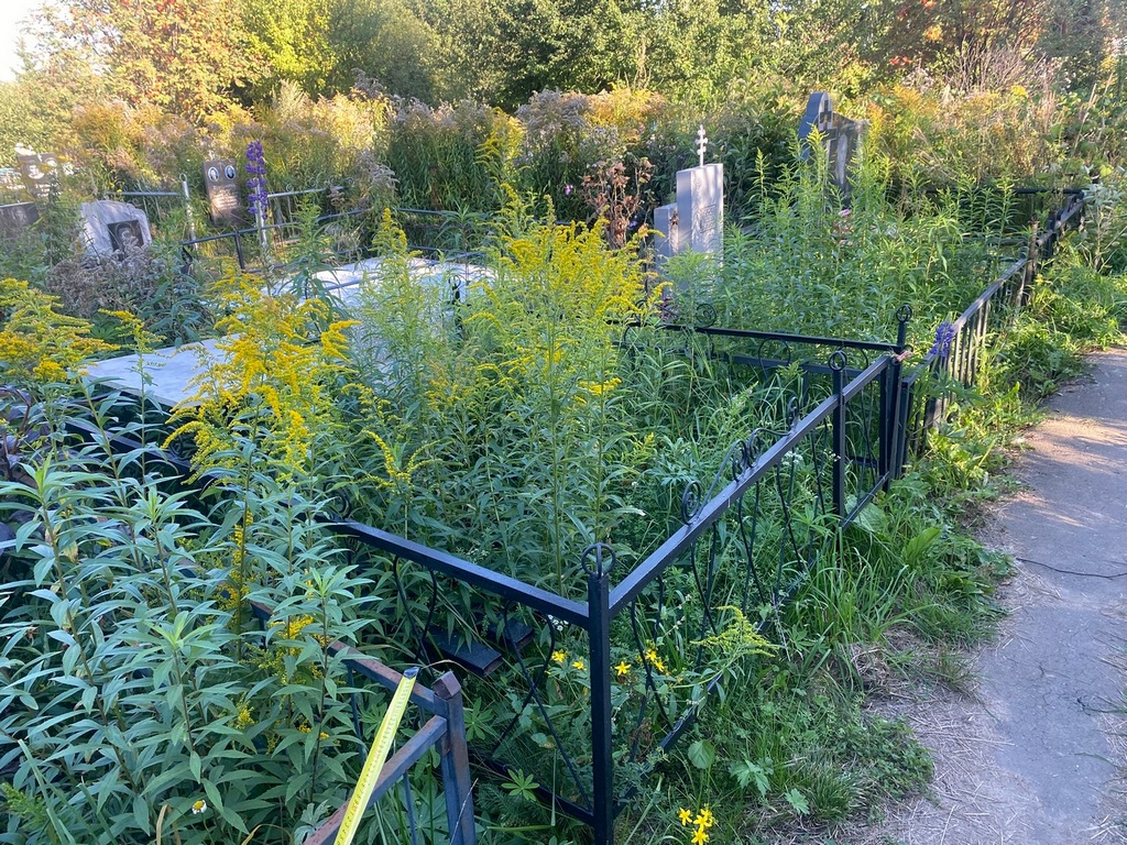 Роготнева Антонина Яковлевна