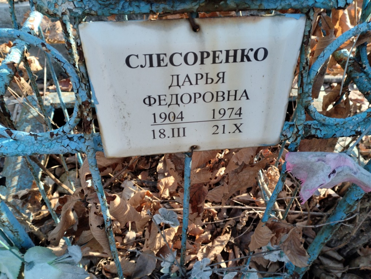 Слесоренко Дарья Федоровна