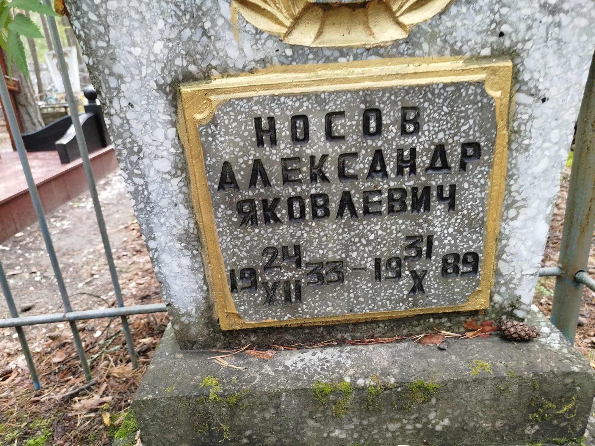 Носов Александр Яковлевич
