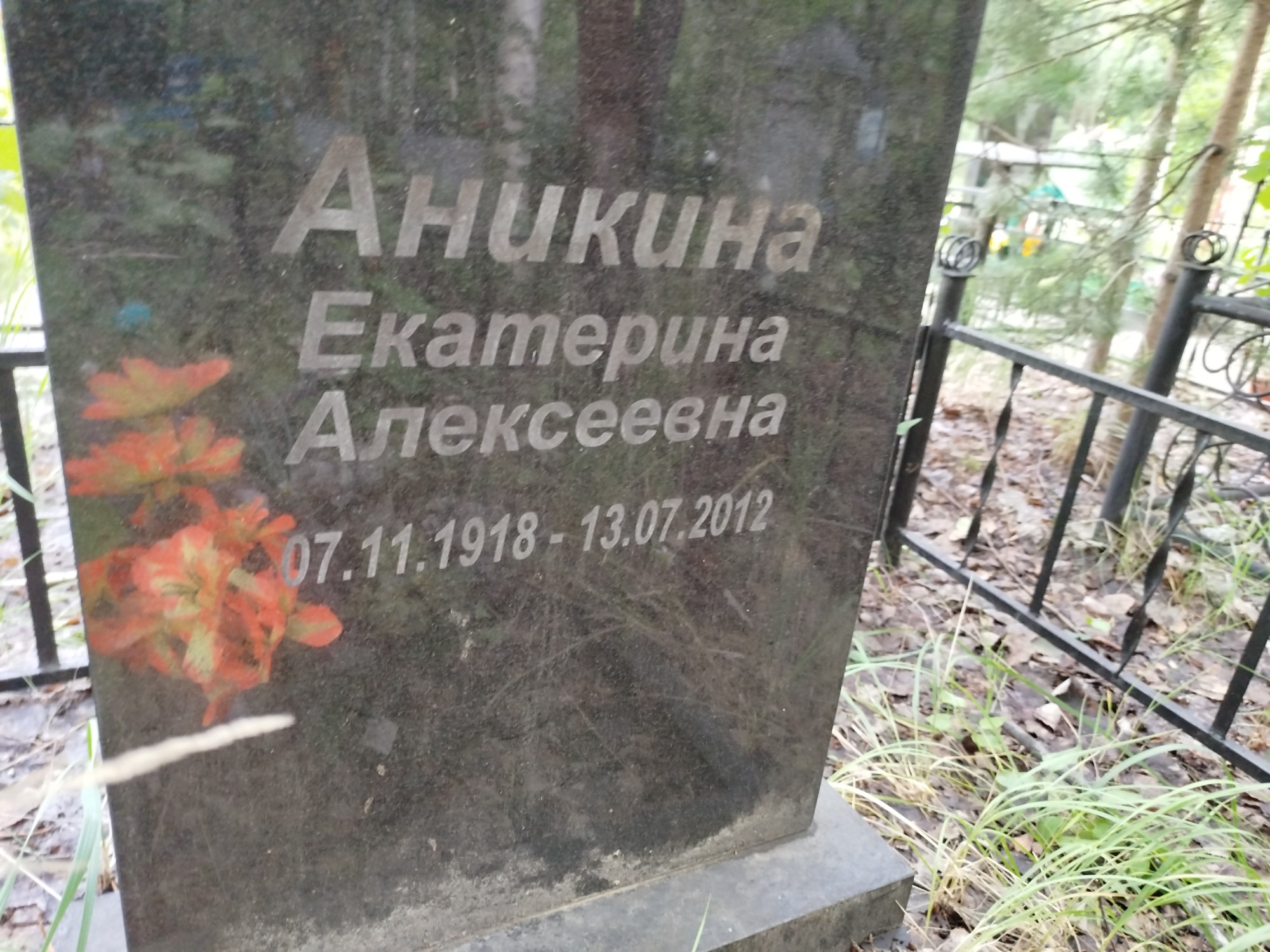 Аникина Екатерина Алексеевна