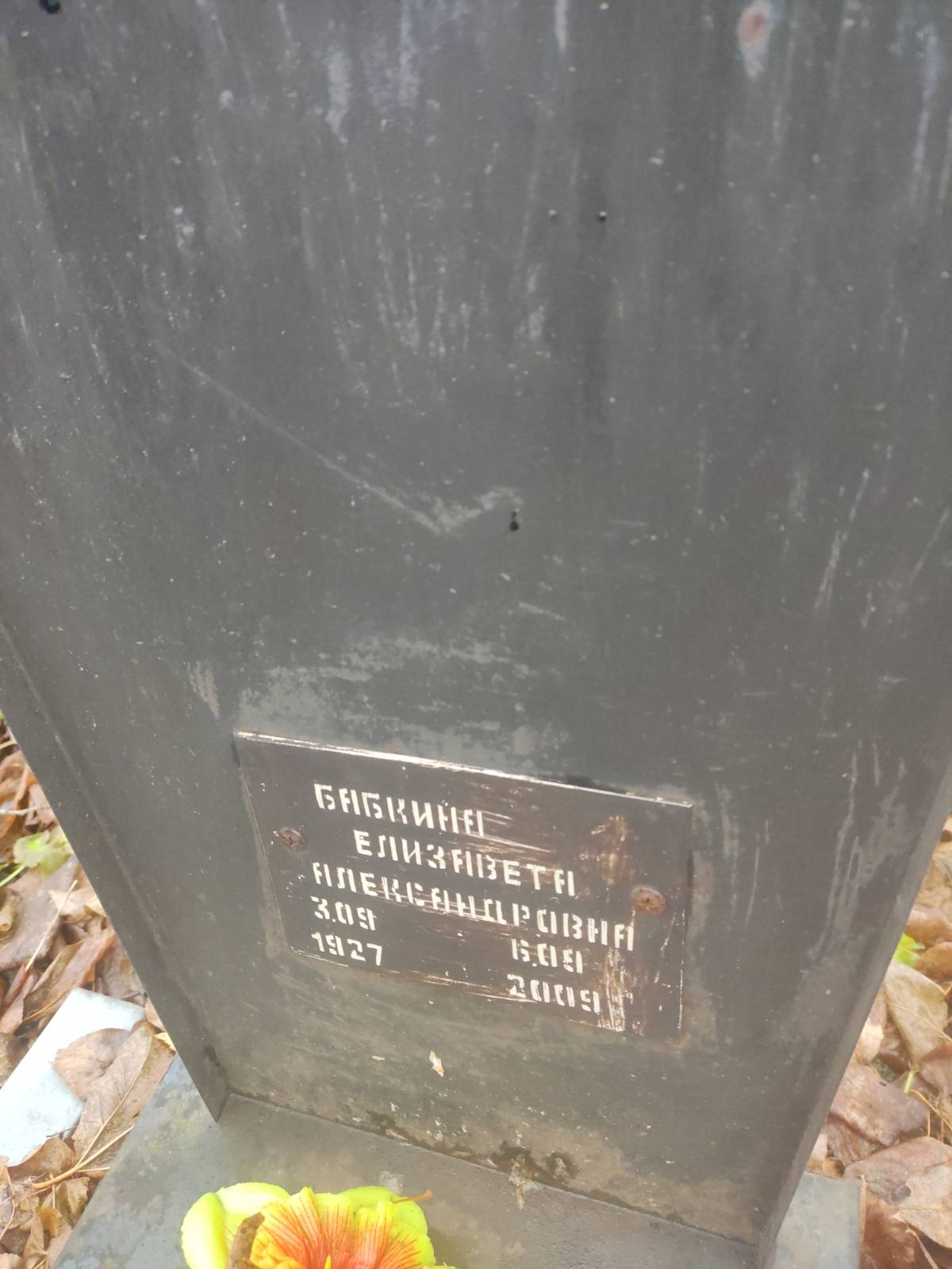 Бабкина Елизавета Александровна