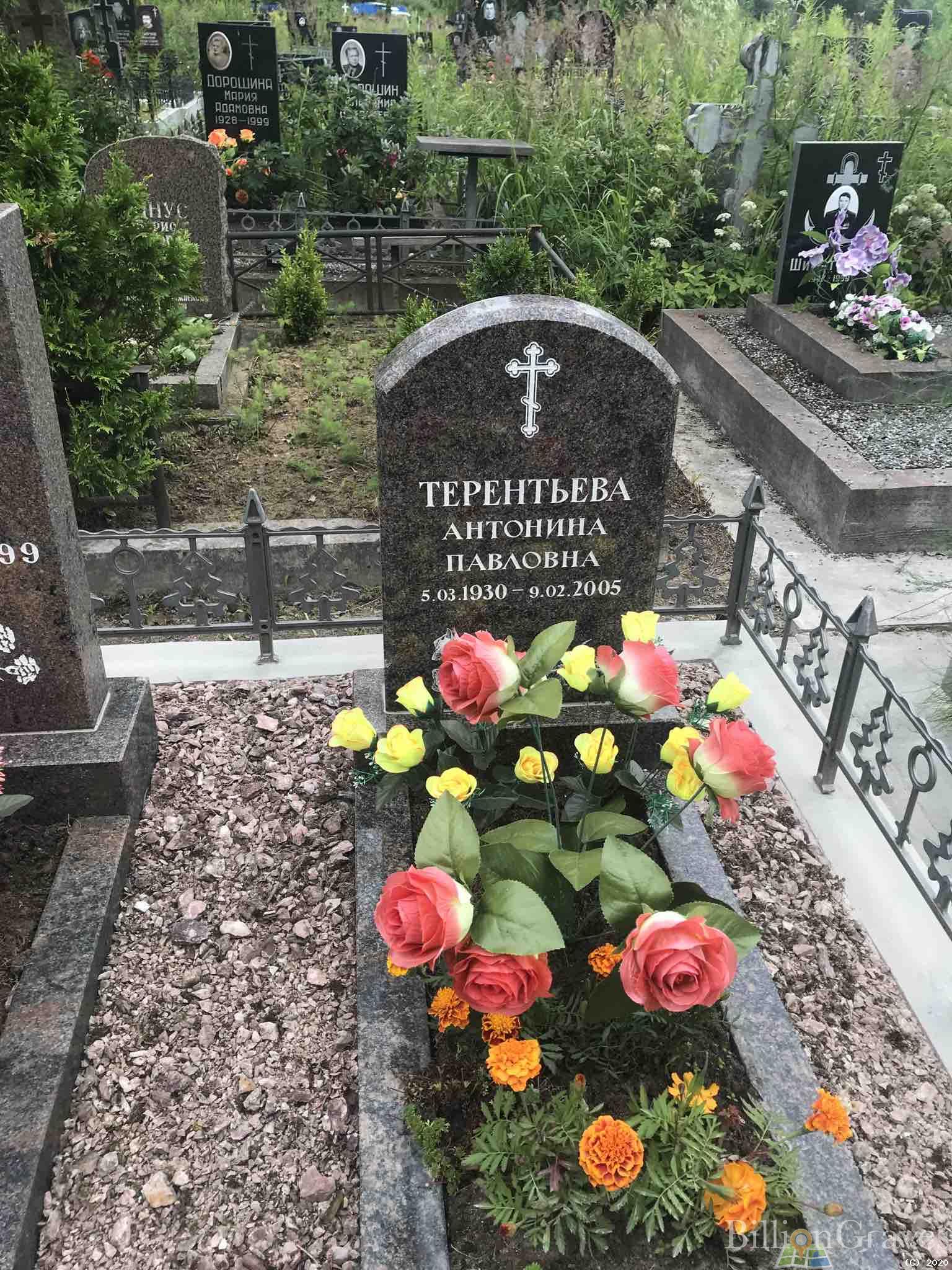 Терентьева Антонина Павловна