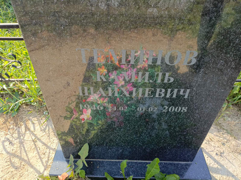Камиль Теминов Шайхиевич