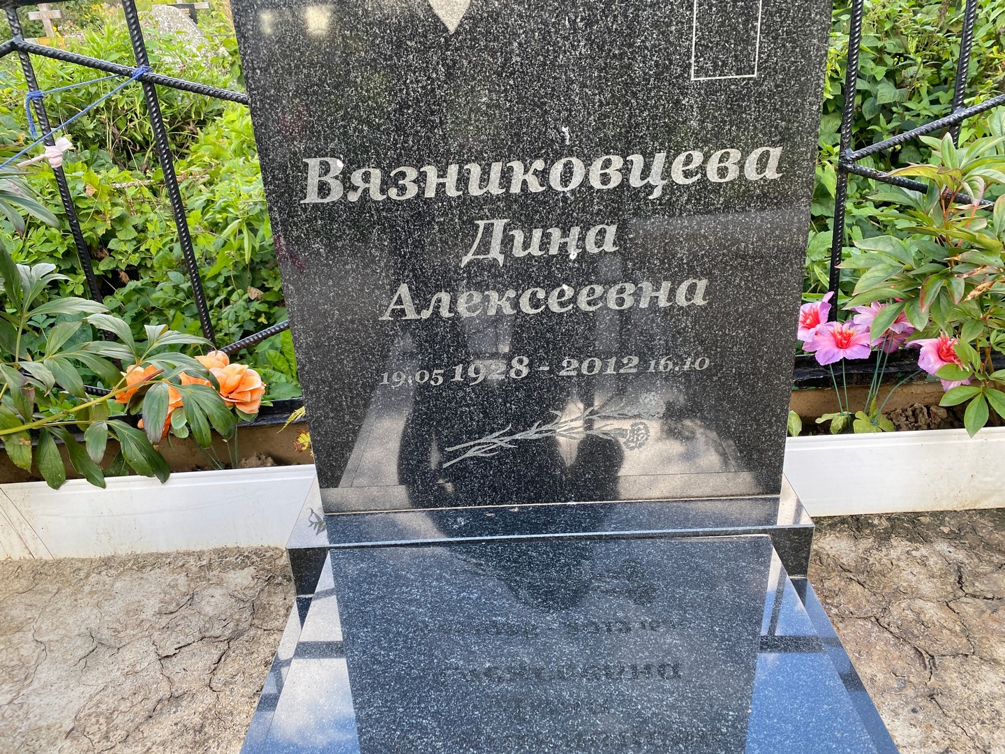 Дина Вязниковцева Алексеевна
