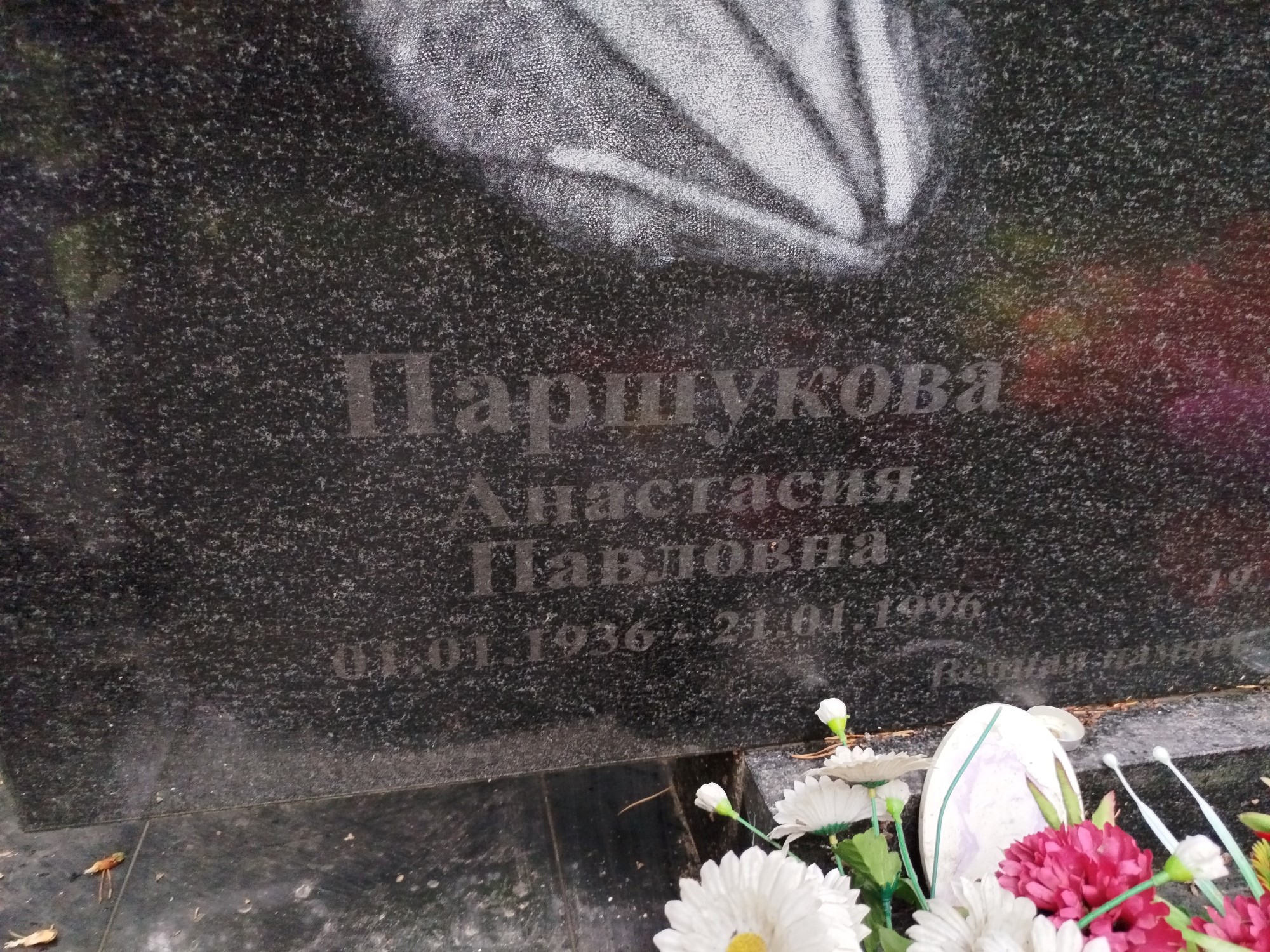 Паршукова Анастасия Павловна