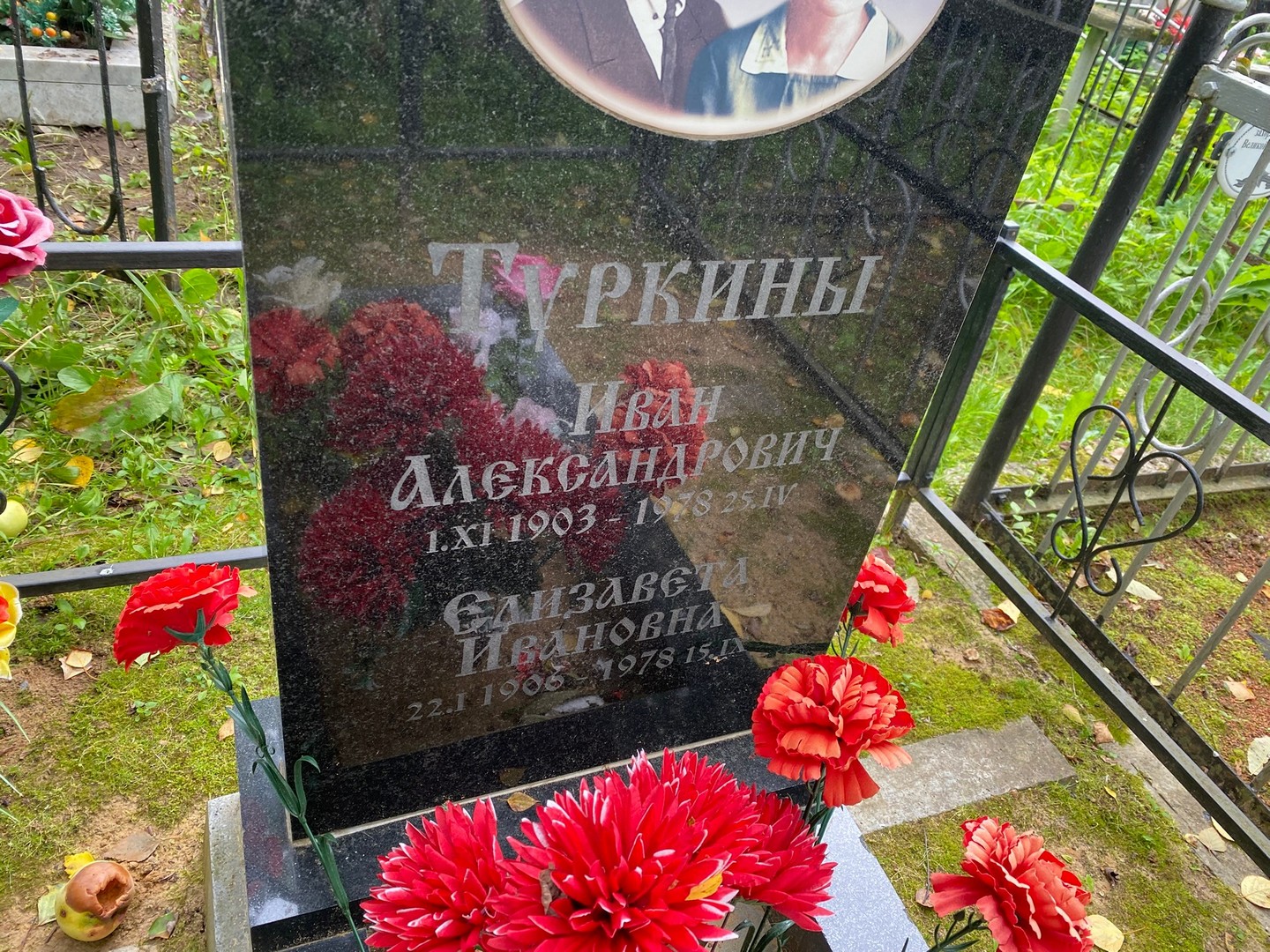 Туркин